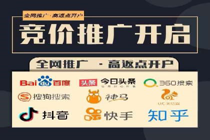 网络推广中的竞价广告：成功案例解析